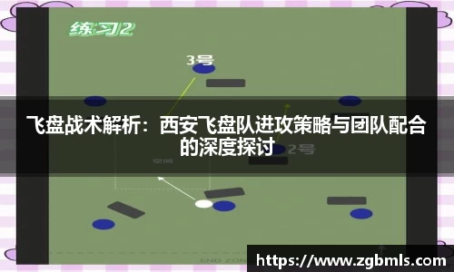 飞盘战术解析：西安飞盘队进攻策略与团队配合的深度探讨