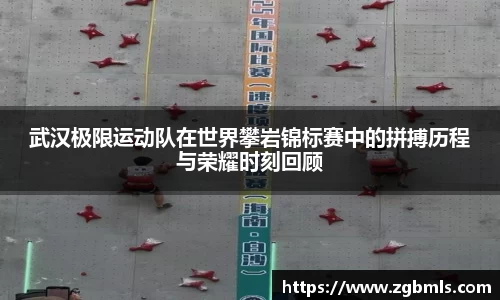 芒果体育